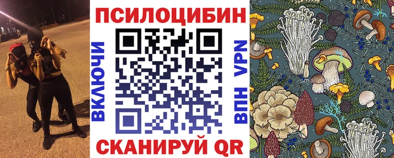 купить наркоту  кракен   Псилоцибиновые грибы Psilocybe  Нижняя Салда 